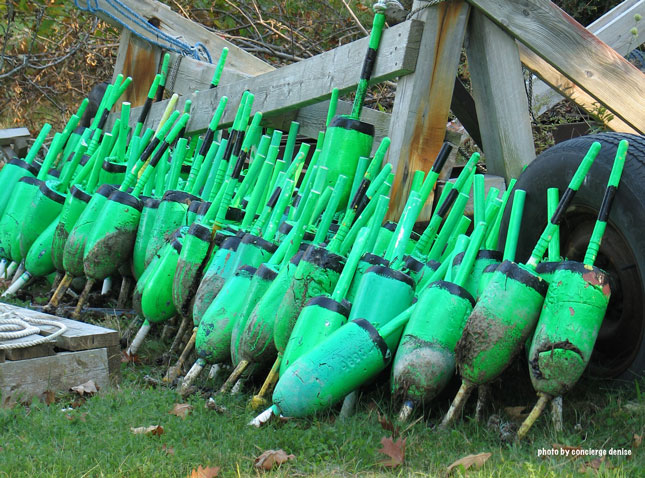 Harpswell in season